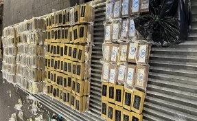 При ввозе в Россию в контейнерах с бананами нашли 820 килограммов кокаина