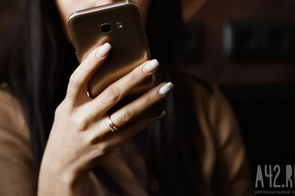 В МВД предупредили о краже номеров по поддельным документам