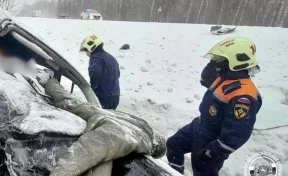 На трассе Томск — Мариинск произошло смертельное ДТП, погибла женщина 