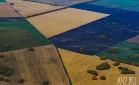 Почти 3 000 га земли обследует Росреестр с помощью беспилотников в Кузбассе