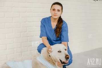 Фото: Центр «Успех» — ветеринария нового формата в Кемерове 10