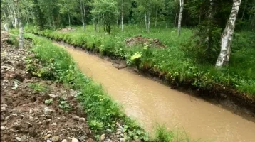 Фото: На юге Кузбасса золотодобытчики загрязняли ручей Картагол 1