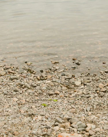 Реку с крокодилами сочли пригодной для олимпийских соревнований в Австралии