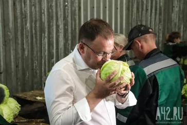 Фото: Илья Середюк опубликовал видео со знаменитым кузбассовцем и показал уборку капусты 3