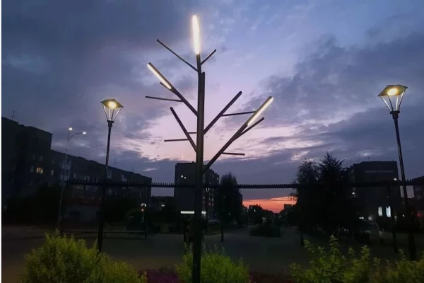 В Кемерове появилось ещё одно светящееся дерево
