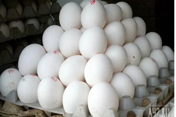 Российские магазины обеспечены яйцами с избытком: названы цены