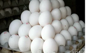 Российские магазины обеспечены яйцами с избытком: названы цены