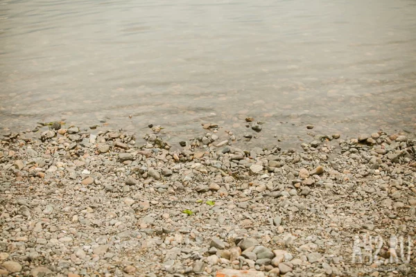 Реку с крокодилами сочли пригодной для олимпийских соревнований в Австралии