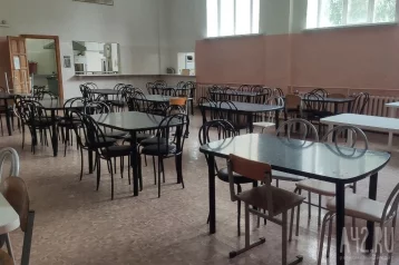 Фото: Соцсети: в одной из школ Кузбасса жители сравнили школьный обед с едой для собак 1