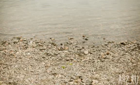 Реку с крокодилами сочли пригодной для олимпийских соревнований в Австралии