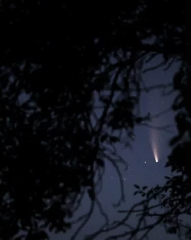 Астроном Железнов: космический мусор сгорел в небе над Камчаткой