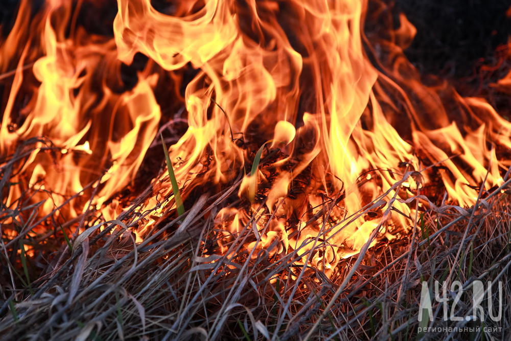«Всё началось с горящей травы»: очевидцы сообщают об очередном пожаре в кузбасском селе