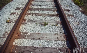 В Алтайском крае предотвращена диверсия на железной дороге