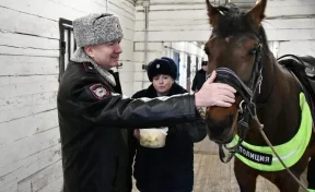 Начальник кузбасской полиции проверил готовность кинологов и кавалеристов к охране правопорядка в Кемерове
