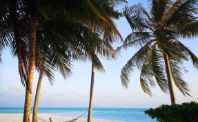 Российский пенсионер погиб в Таиланде на пляже