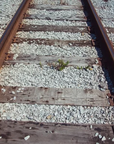 В Алтайском крае предотвращена диверсия на железной дороге