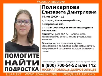 Фото: 14-летняя девочка в камуфляже пропала в кузбасской деревне 1