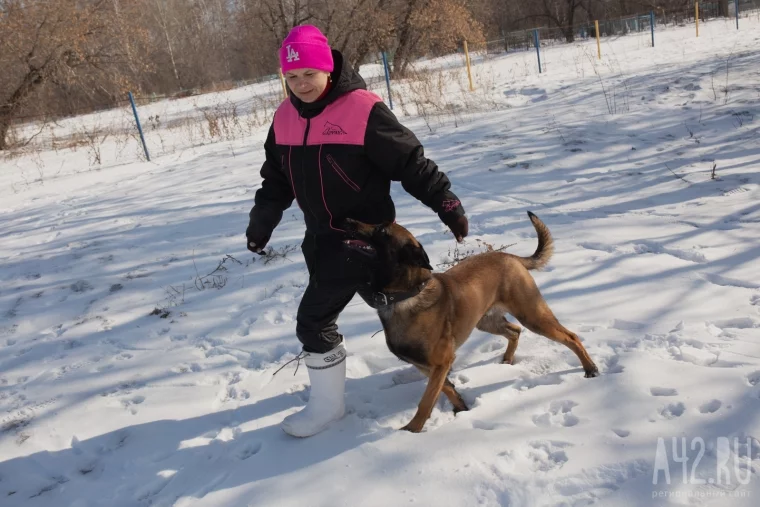 Фото: Развалины и грязь. Как мы обходили площадки для выгула собак в Кемерове и Новокузнецке 15