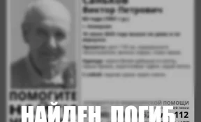 Пропавший на пути к «Кристаллу» пенсионер погиб в Кемерове