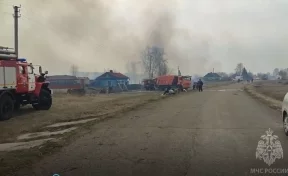 В МЧС Кузбасса рассказали подробности пожара в деревне Любаровка под Юргой