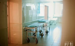 В Башкирии от бешенства умер 9-летний мальчик