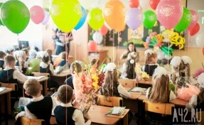 В министерстве образования Кузбасса предложили помочь больным детям 1 сентября