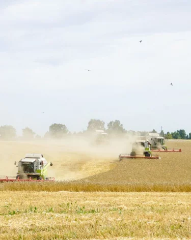 В Кузбассе аграрии собрали на 400 000 тонн зерна больше, чем в 2024 году