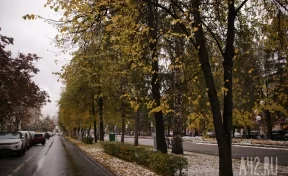 Кузбасские синоптики пообещали ещё большее похолодание в регионе