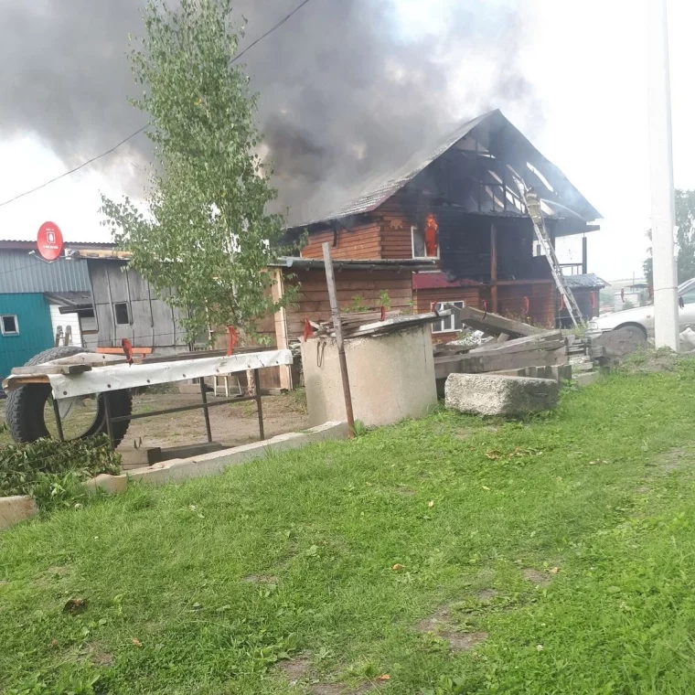 Фото: В Кемерове сгорел мини-приют для бездомных животных 2