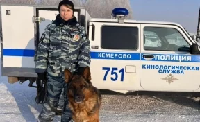 В Кузбассе служебная овчарка Борг помогла задержать подозреваемого в грабеже пенсионерки