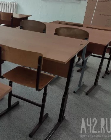 В минобре Кузбасса напомнили, при какой температуре школьники могут оставаться дома в мороз