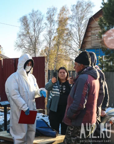 В управлении ветеринарии уточнили количество изъятых в Кемерове свиней, но скрыли название болезни