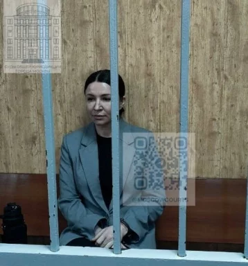 Фото: В Москве блогера Елену Блиновскую приговорили к 5 годам лишения свободы 1