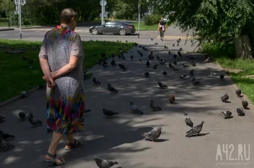 Фото: Кемеровчан напугало нашествие голубей на ФПК 1