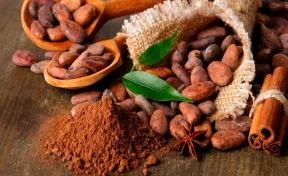 Учёные заявили о пользе какао для диабетиков и страдающих ожирением