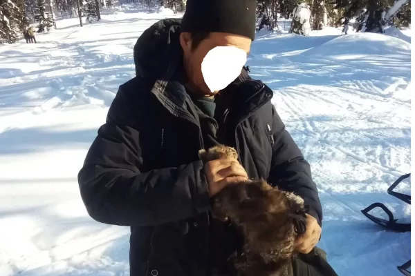 В Кузбассе охотника накажут за отлов соболей капканами