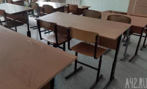 В минобре Кузбасса напомнили, при какой температуре школьники могут оставаться дома в мороз