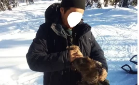 В Кузбассе охотника накажут за отлов соболей капканами