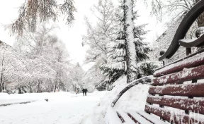 Кемеровчане сняли на видео косулю, которая забрела в город