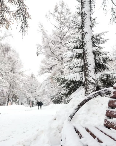 Кемеровчане сняли на видео косулю, которая забрела в город