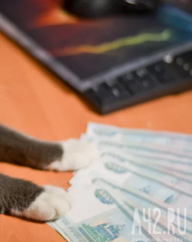 СФР по Кузбассу: изменились правила назначения пособий семьям с детьми и беременным