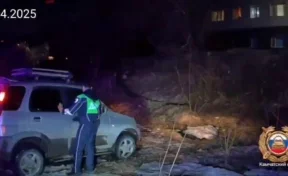 Видео перестрелки и задержания автоугонщика на Камчатке опубликовали в Сети