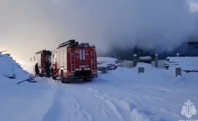 В Новосибирской области загорелся склад с пиломатериалами на площади 1800 квадратных метров