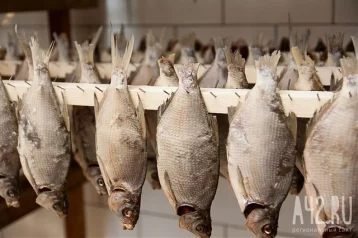 Фото: В Кузбассе продавцов рыбы оштрафовали на 750  000 рублей 1