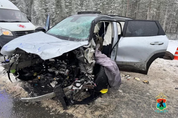 В Карелии 2 человека погибли в ДТП на автодороге Р-21 «Кола»