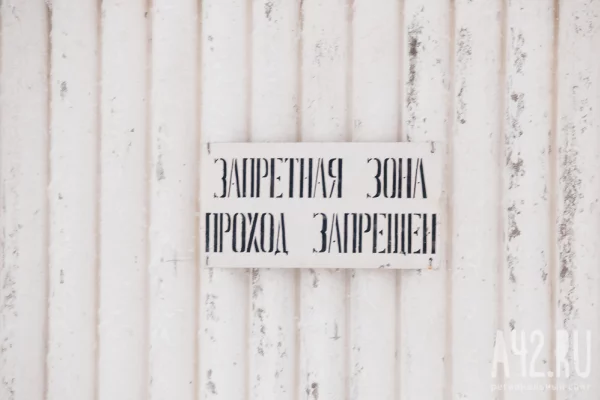 Ещё в одной территории Кузбасса ввели карантин по бешенству на 60 дней