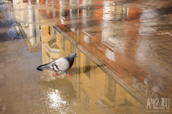 2025 год вошёл в тройку самых жарких, сообщил Вильфанд