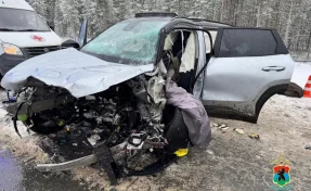 В Карелии 2 человека погибли в ДТП на автодороге Р-21 «Кола»