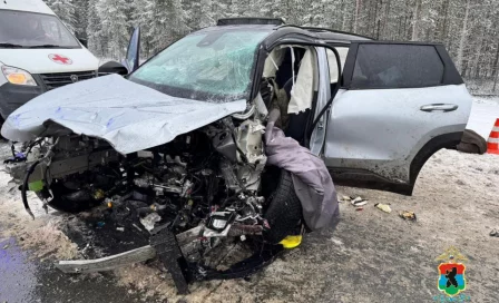 В Карелии 2 человека погибли в ДТП на автодороге Р-21 «Кола»