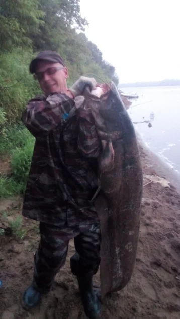 Фото: Рыба мечты по-кировски: россиянин выловил гигантского сома  1